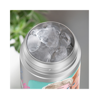 Thermos Kids Drink Bottle - Frozen
