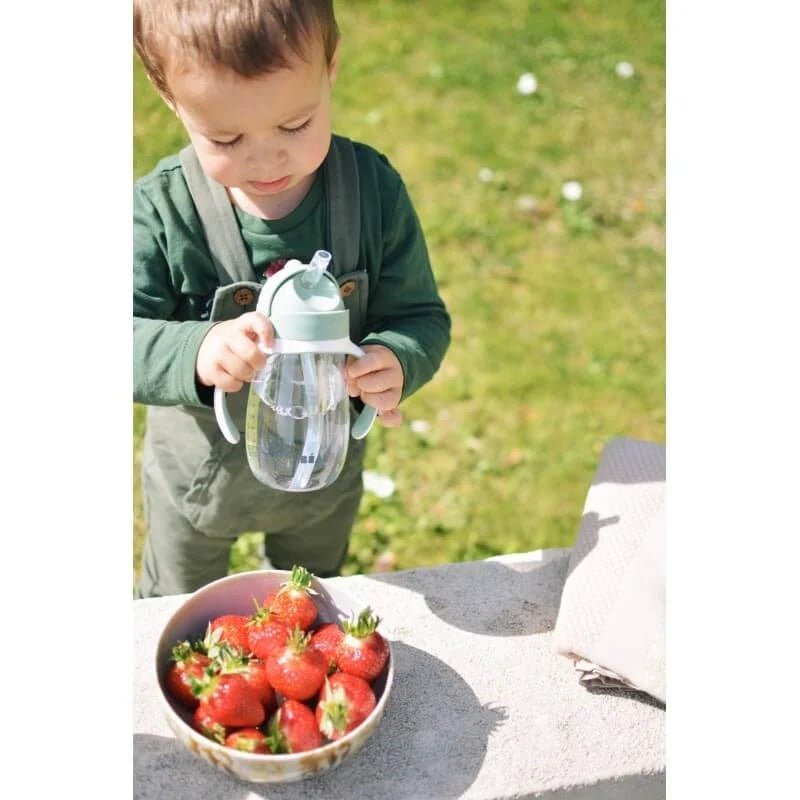 Beaba 2 In 1 Straw Learning Cup - Sage – Sippy Cup NZ | Hyphen Kids