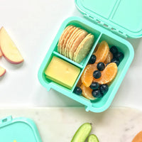 Shop Little Lunch Box Co Leakproof Bento Two - LIama NZ | Premium Lunch Boxes for School Kids