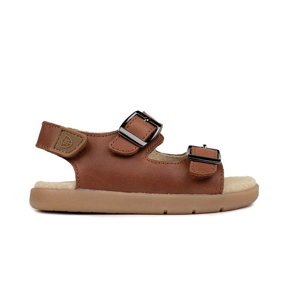 Pretty Brave Beau Toffee – Little Kids Shoes NZ | Hyphen Kids