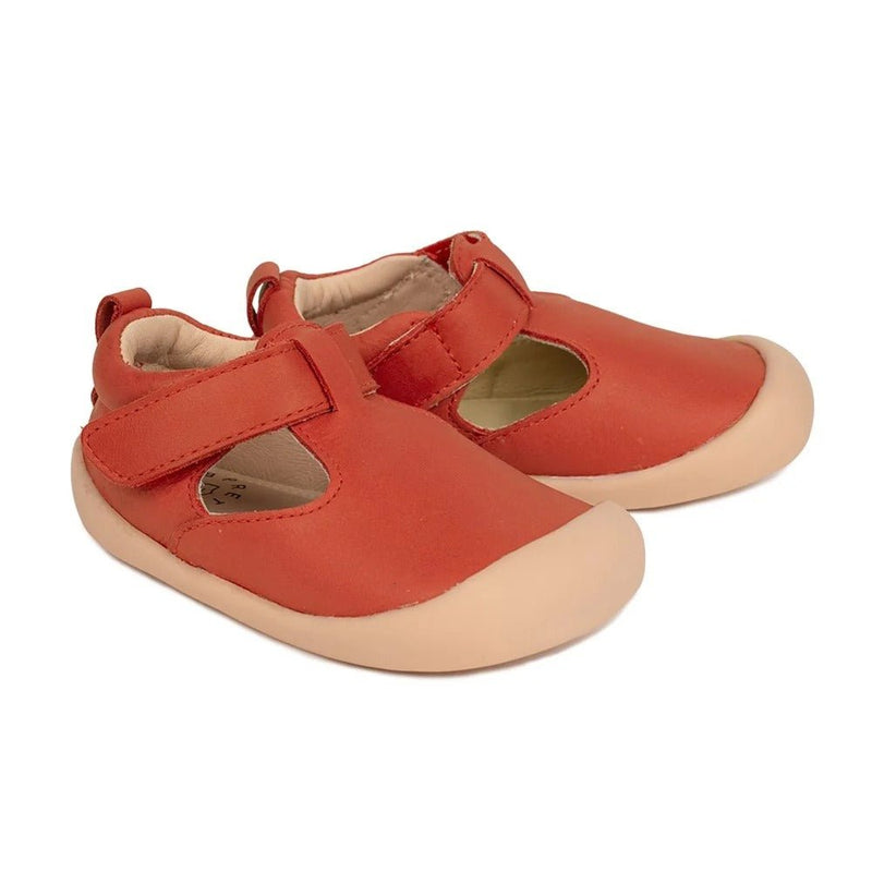 Pretty Brave Bobby Paprika – Toddler Shoes NZ | Hyphen Kids