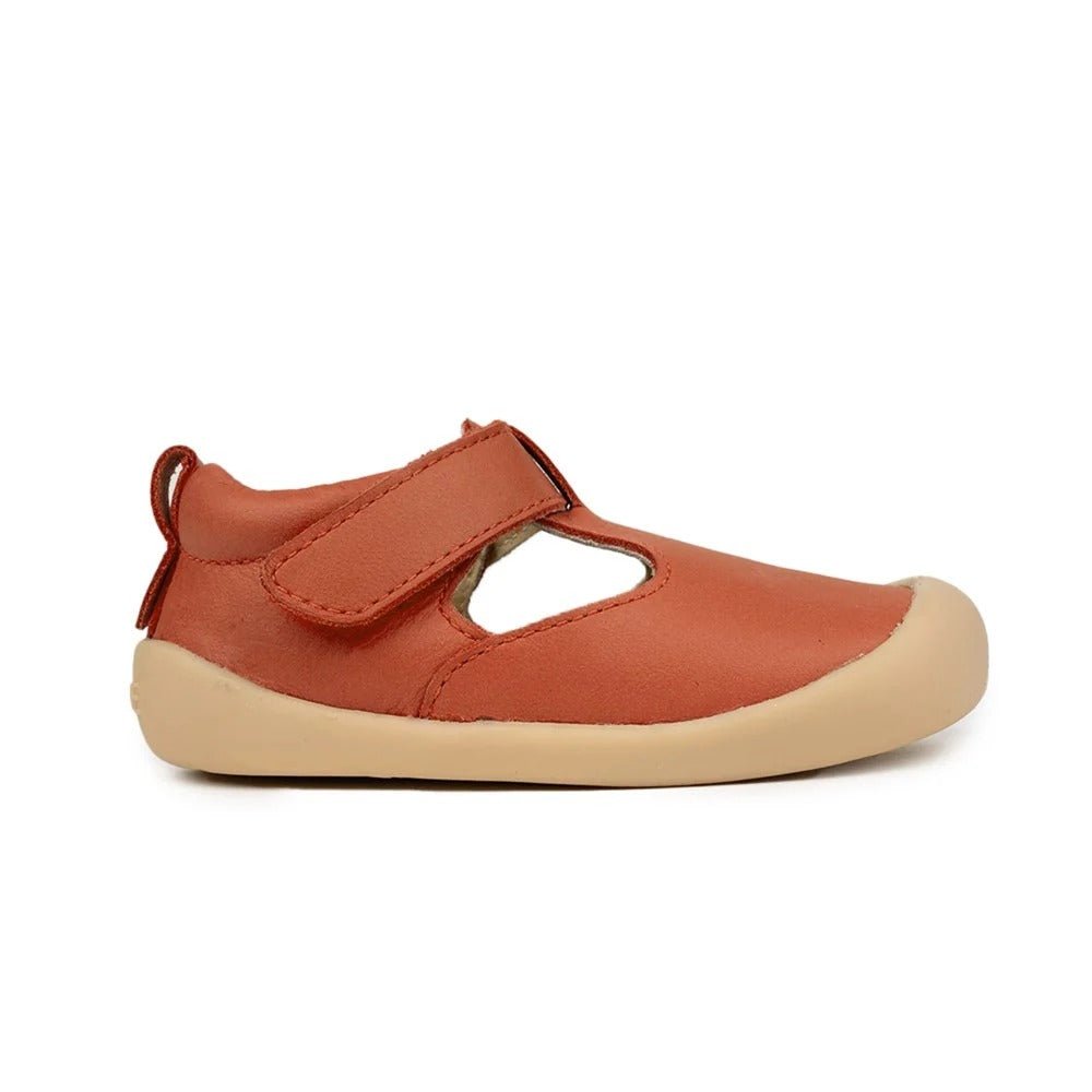 Pretty Brave Bobby Paprika – Toddler Shoes NZ | Hyphen Kids