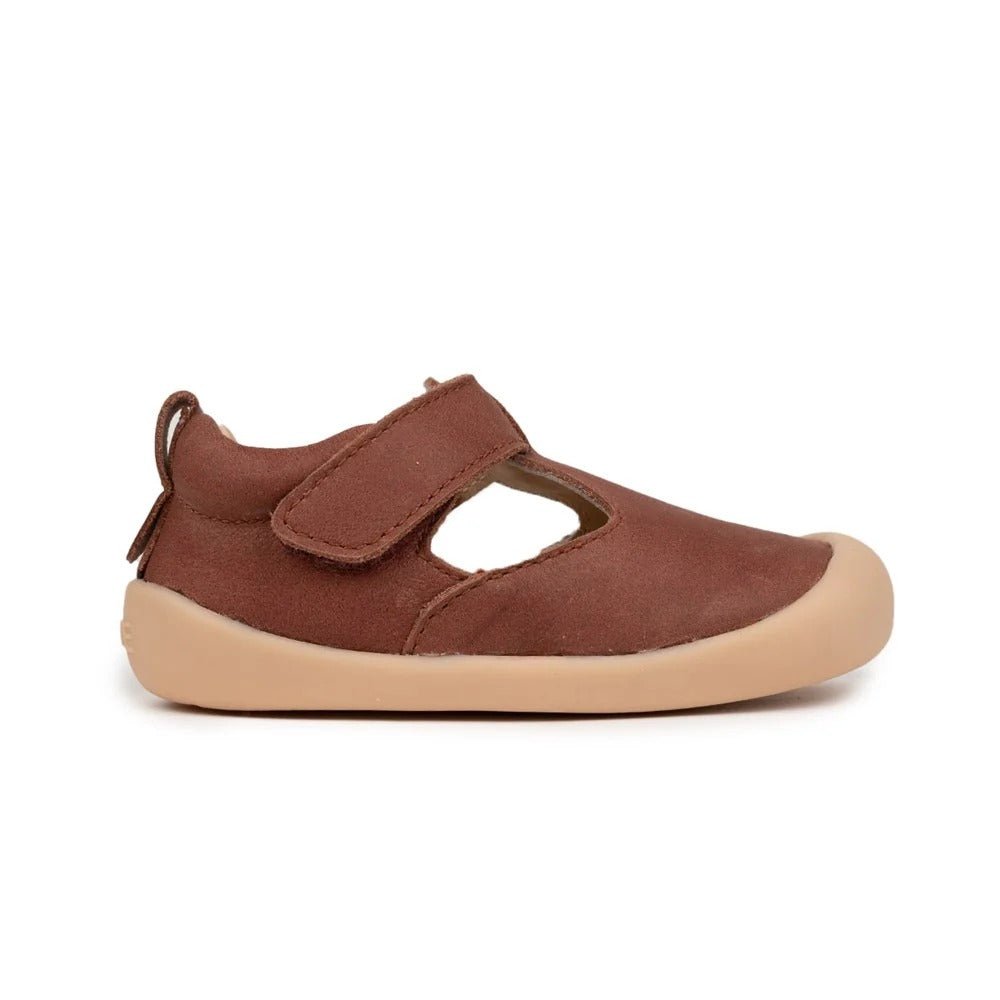 Pretty Brave Bobby Toffee – Toddler Shoes NZ | Hyphen Kids