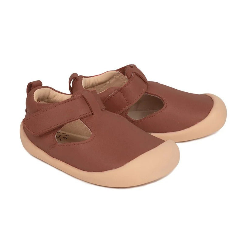Pretty Brave Bobby Toffee – Toddler Shoes NZ | Hyphen Kids