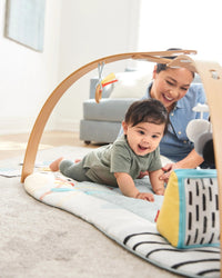 Skip Hop Discoverosity Deluxe Activity Gym Activity Gym for kids