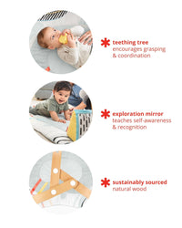 Skip Hop Discoverosity Deluxe Activity Gym Activity Gym for kids