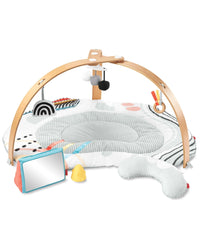 Skip Hop Discoverosity Deluxe Activity Gym Activity Gym for kids