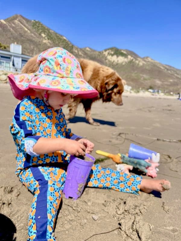 Sunday Afternoons Kids Play Hat - Pollinator - HYPHEN KIDS
