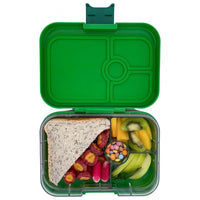 Yumbox Panino – Dinosaur Bento Lunch Box (4 Compartments)-Lunch Boxes-Medium Lunch Box