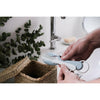 Beaba Comb And Brush Green Blue - Health & Safety - Lunch Time