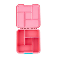 Little Lunch Box Co Leakproof Bento Five - Strawberry -HYPHEN KIDS
