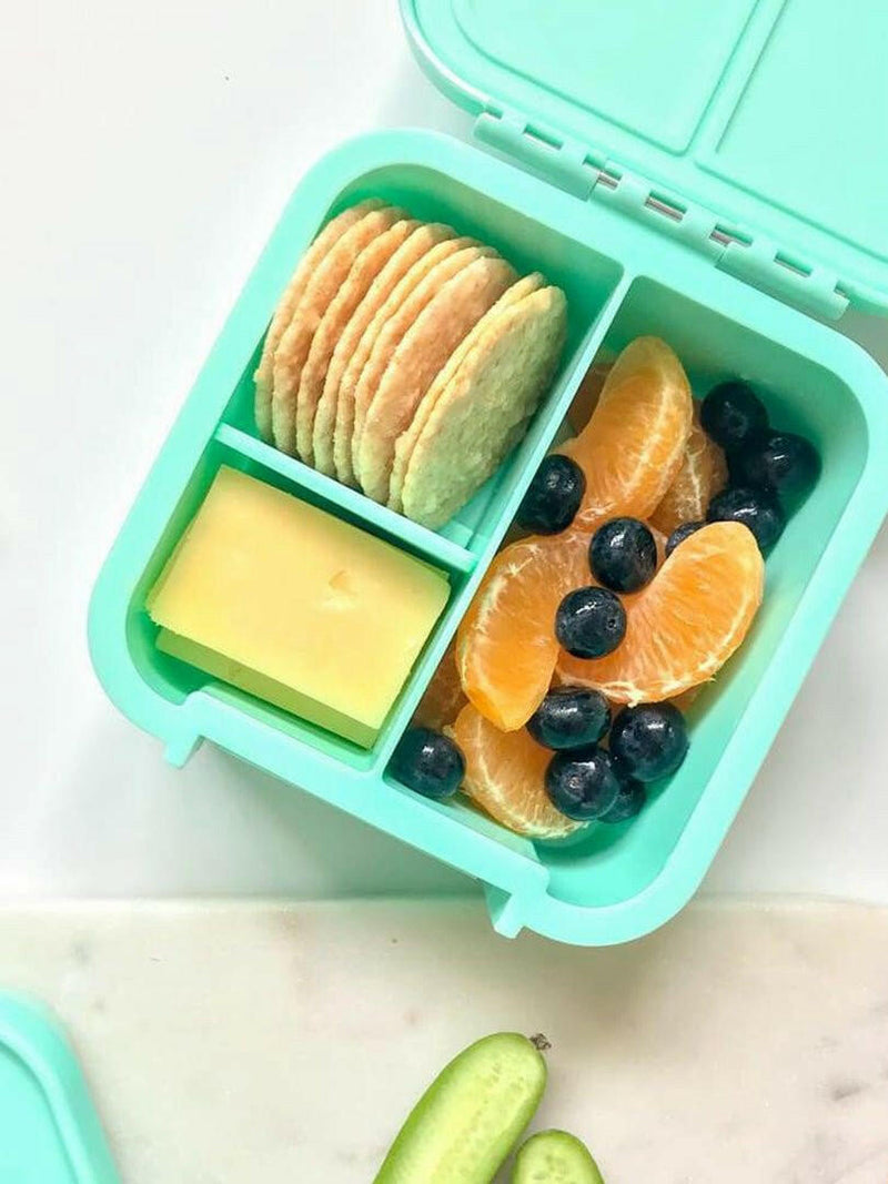Little Lunch Box Co Leakproof Bento Two - Liama - HYPHEN KIDS