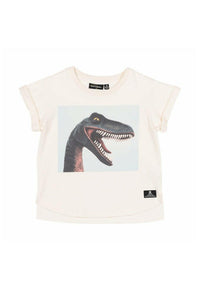 Rock Your Kid Smile Dino Short Sleeve T-Shirt Boxy Fit - Shirts - 10 - 11Y