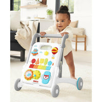 Skip Hop Explore & More Grow Along 4 - in - 1 Activity Walker - Baby Toy - 