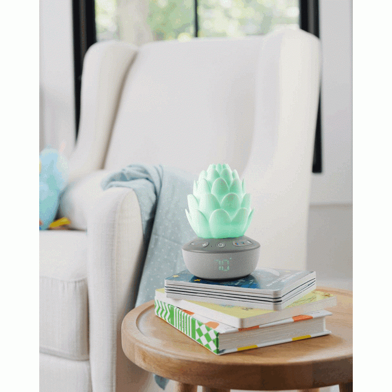 Skip Hop Terra Cry Activated Soother - HYPHEN KIDS
