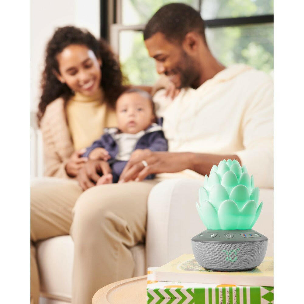 Skip Hop Terra Cry Activated Soother - Light - toys
